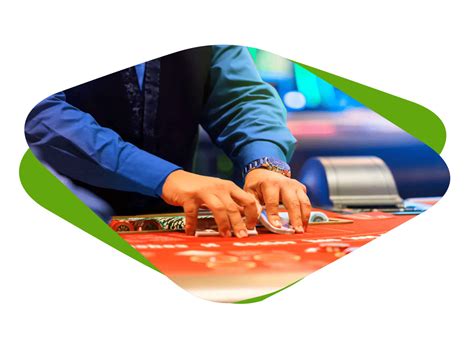 casino essentials|celexa casino essentials.